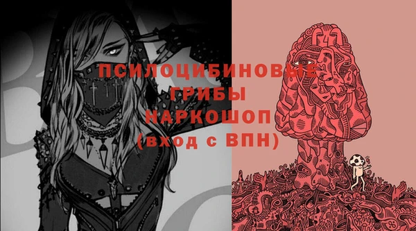 гашик Богородск