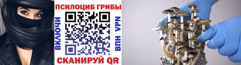 Купить  Аркадак  Псилоцибиновые грибы мухоморы 